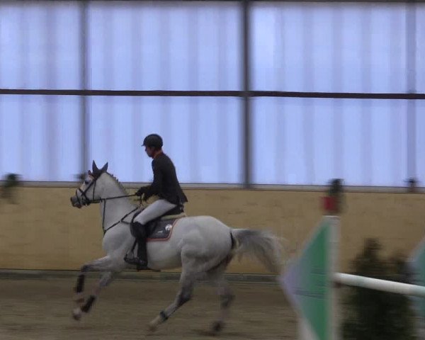 FEI Reitturnier Damme-Neuenwalde (GER) 2020
