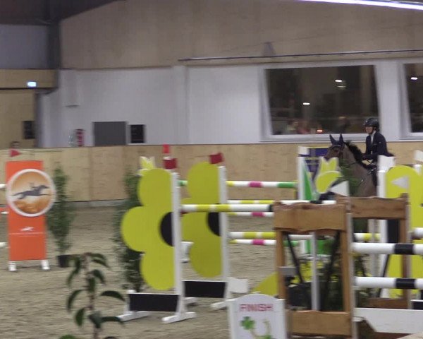 FEI Reitturnier Damme-Neuenwalde (GER) 2020