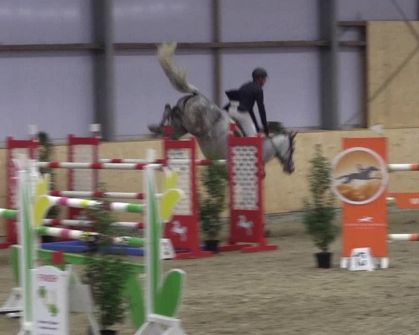 FEI Reitturnier Damme-Neuenwalde (GER) 2020
