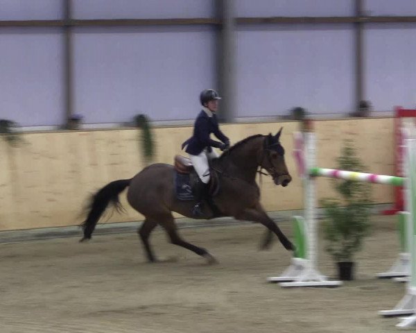FEI Reitturnier Damme-Neuenwalde (GER) 2020