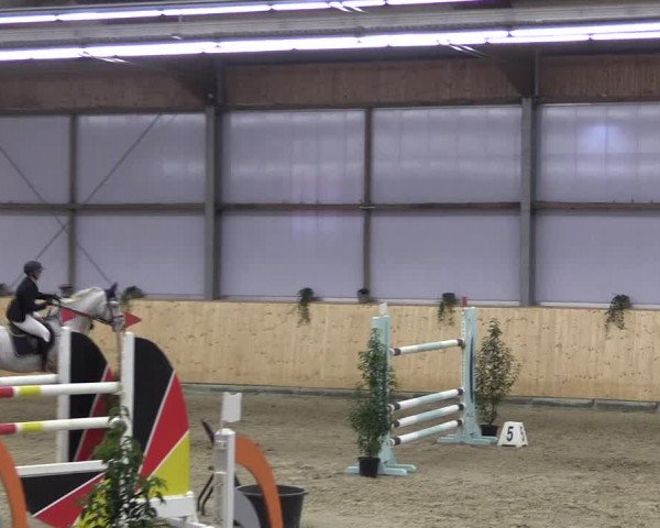 FEI Reitturnier Damme-Neuenwalde (GER) 2020