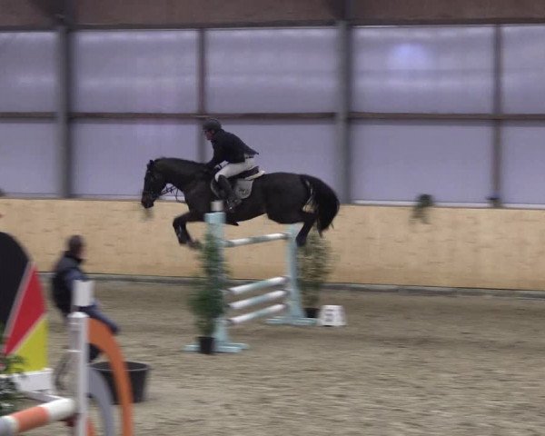 FEI Reitturnier Damme-Neuenwalde (GER) 2020