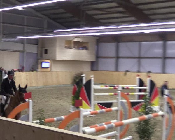 FEI Reitturnier Damme-Neuenwalde (GER) 2020