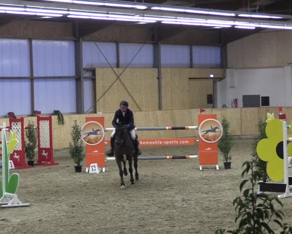 FEI Reitturnier Damme-Neuenwalde (GER) 2020