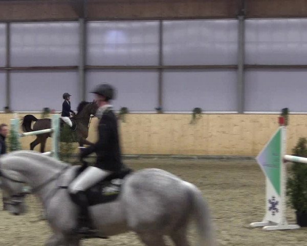 FEI Reitturnier Damme-Neuenwalde (GER) 2020