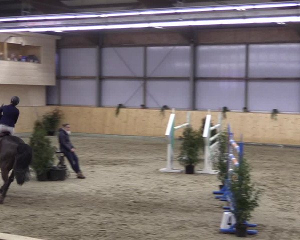 FEI Reitturnier Damme-Neuenwalde (GER) 2020
