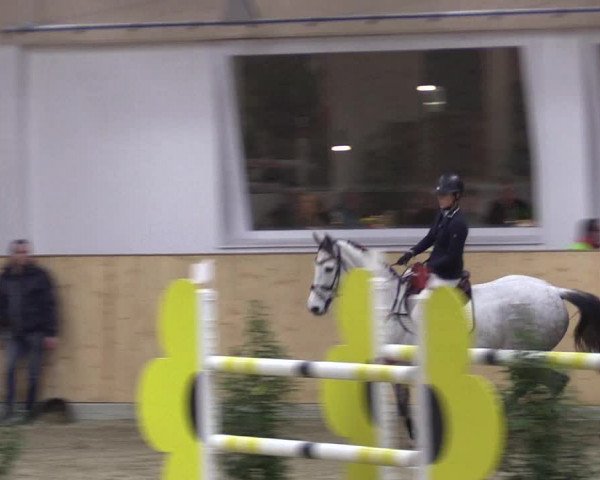 FEI Reitturnier Damme-Neuenwalde (GER) 2020