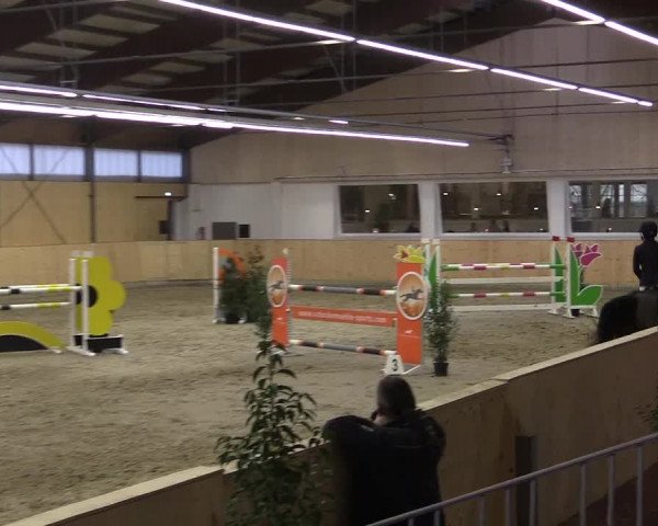 FEI Reitturnier Damme-Neuenwalde (GER) 2020