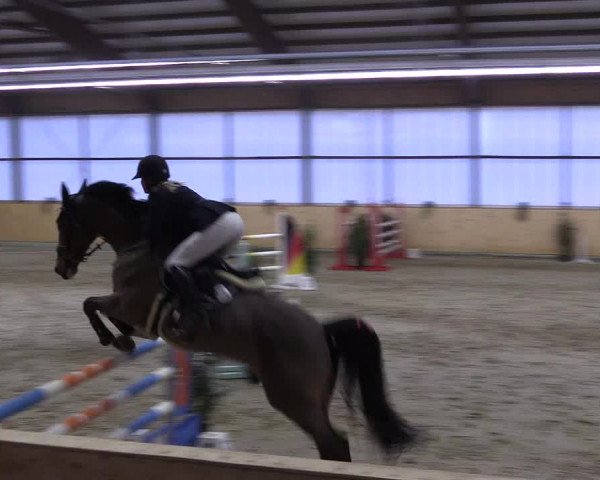 FEI Reitturnier Damme-Neuenwalde (GER) 2020