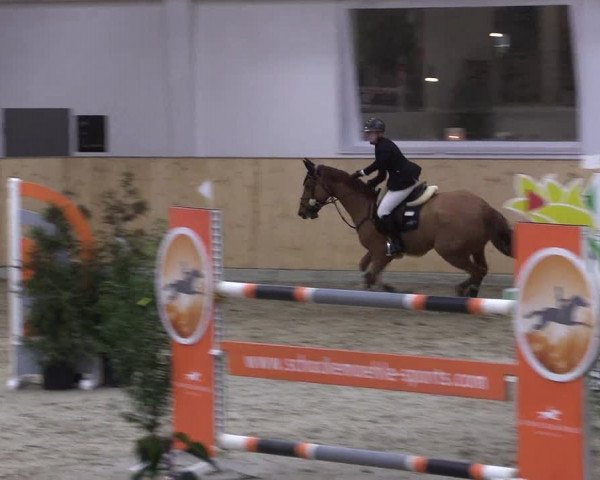 FEI Reitturnier Damme-Neuenwalde (GER) 2020
