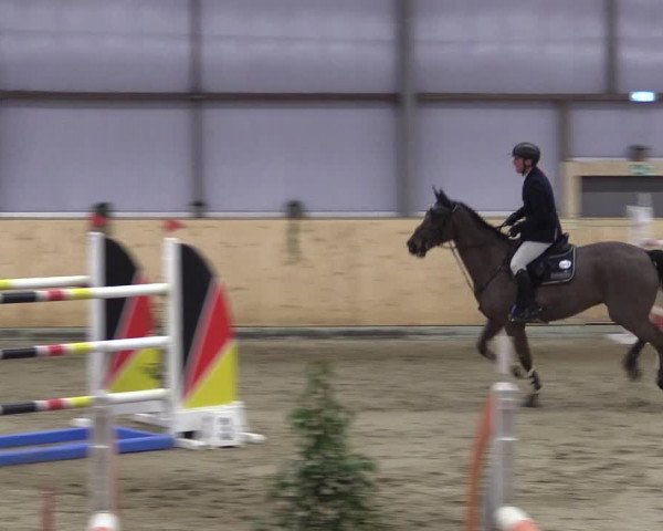 FEI Reitturnier Damme-Neuenwalde (GER) 2020