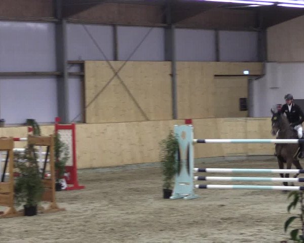 FEI Reitturnier Damme-Neuenwalde (GER) 2020