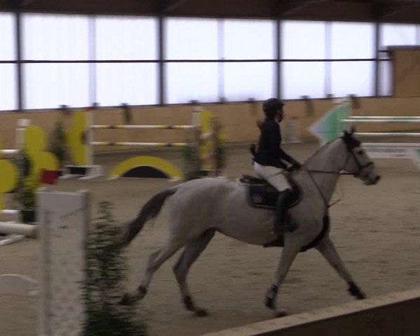 FEI Reitturnier Damme-Neuenwalde (GER) 2020