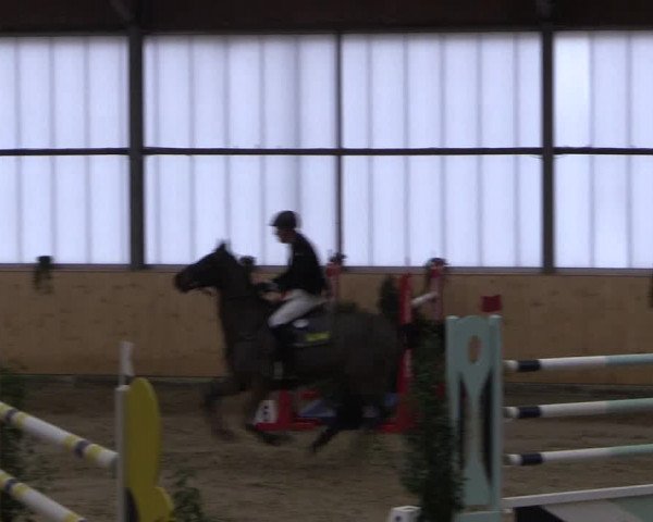 FEI Reitturnier Damme-Neuenwalde (GER) 2020