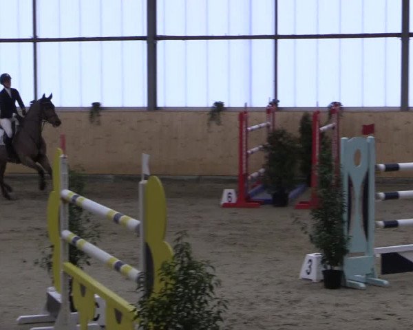 FEI Reitturnier Damme-Neuenwalde (GER) 2020