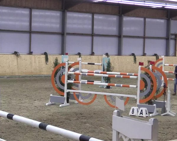 FEI Reitturnier Damme-Neuenwalde (GER) 2020