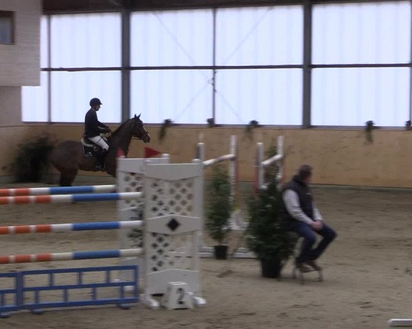 FEI Reitturnier Damme-Neuenwalde (GER) 2020