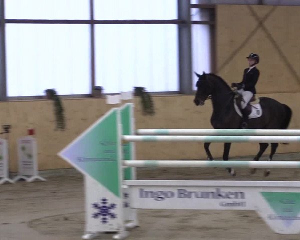 FEI Reitturnier Damme-Neuenwalde (GER) 2020