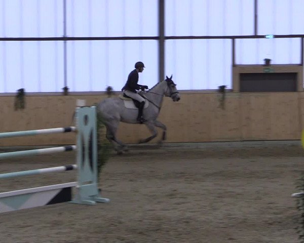 FEI Reitturnier Damme-Neuenwalde (GER) 2020