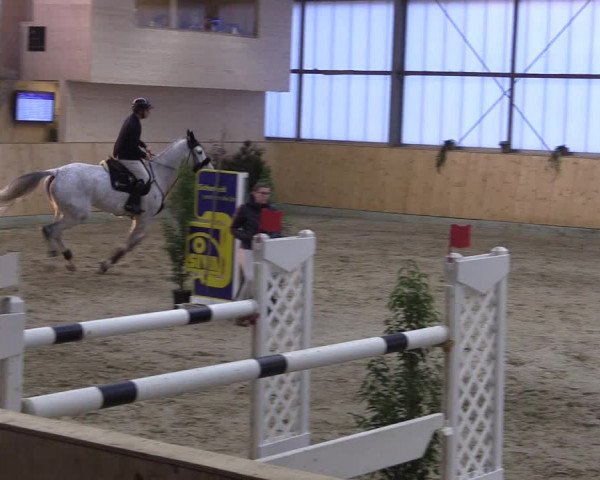FEI Reitturnier Damme-Neuenwalde (GER) 2020