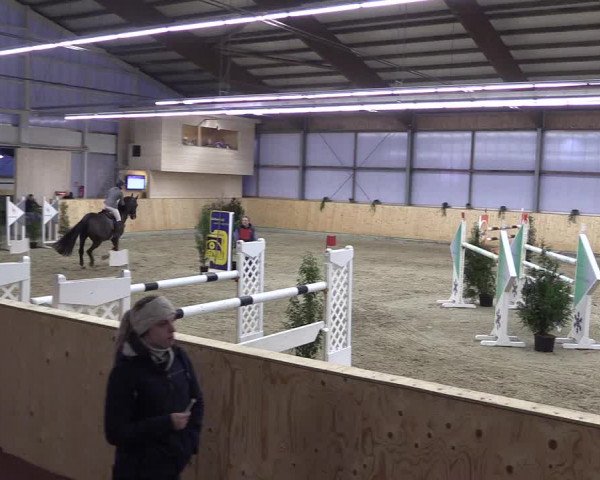 FEI Reitturnier Damme-Neuenwalde (GER) 2020