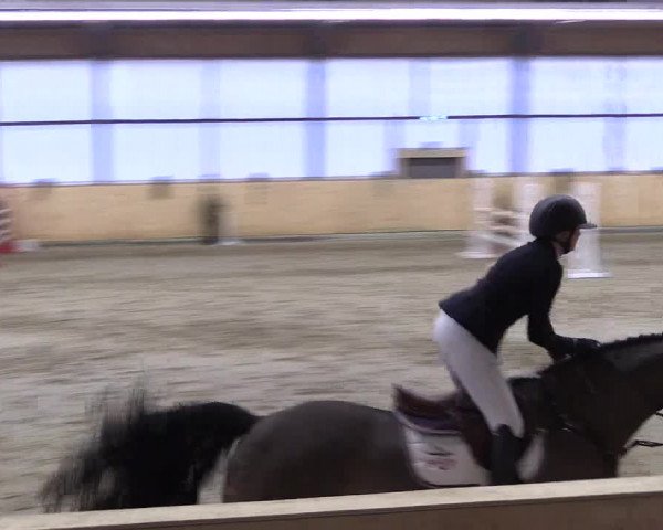 FEI Reitturnier Damme-Neuenwalde (GER) 2020