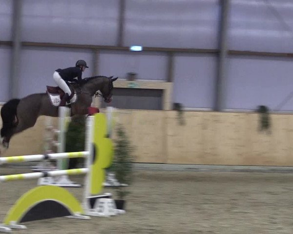 FEI Reitturnier Damme-Neuenwalde (GER) 2020
