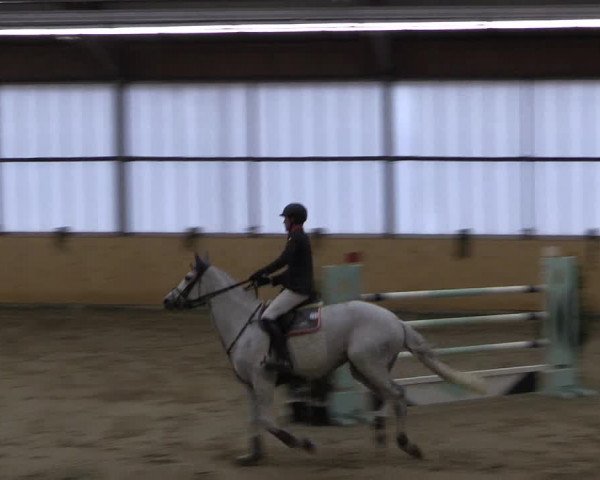 FEI Reitturnier Damme-Neuenwalde (GER) 2020