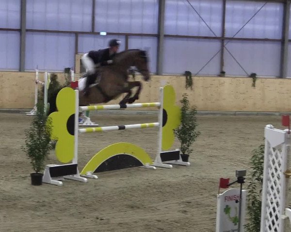 FEI Reitturnier Damme-Neuenwalde (GER) 2020