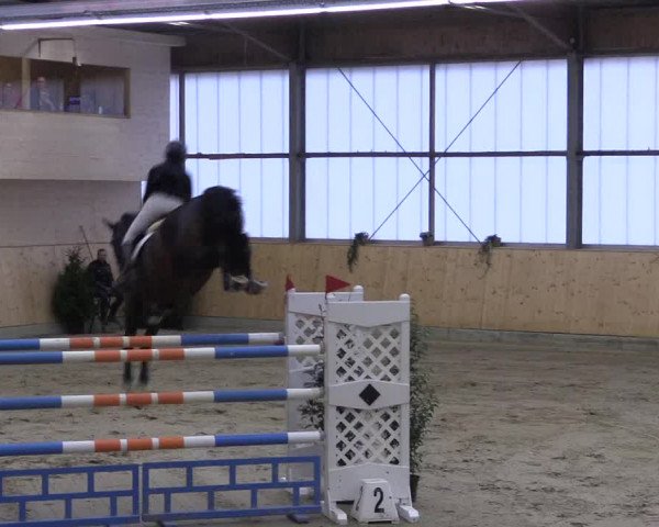 FEI Reitturnier Damme-Neuenwalde (GER) 2020