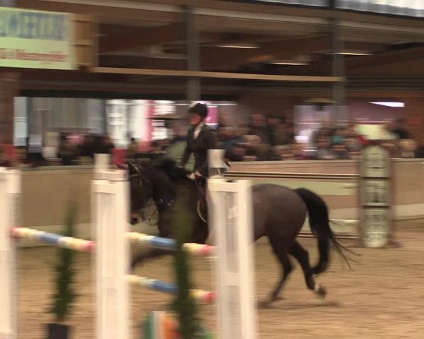Reitturnier Heiden 2020