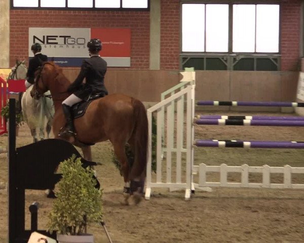 Reitturnier Heiden 2020