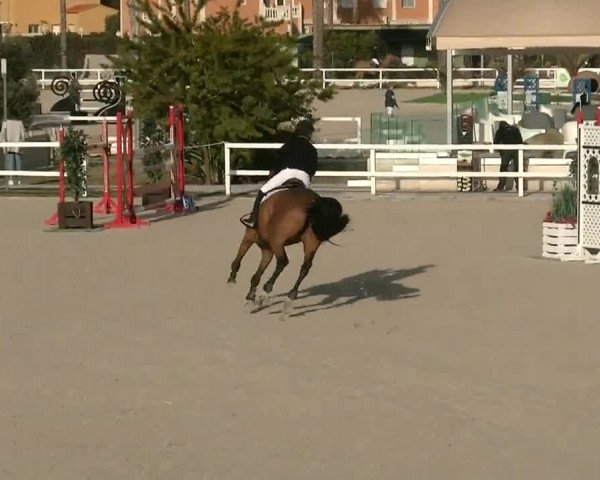 MET I Oliva - Woche 1 (ESP) 2020