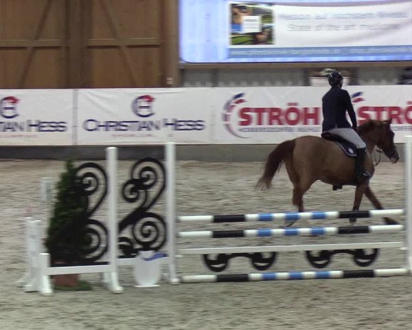 Nordic Jumping events 2020