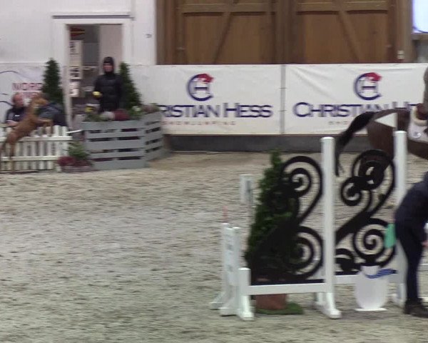 Nordic Jumping events 2020