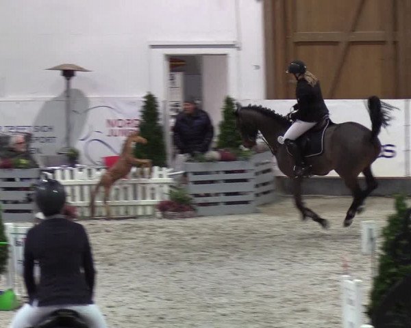 Nordic Jumping events 2020