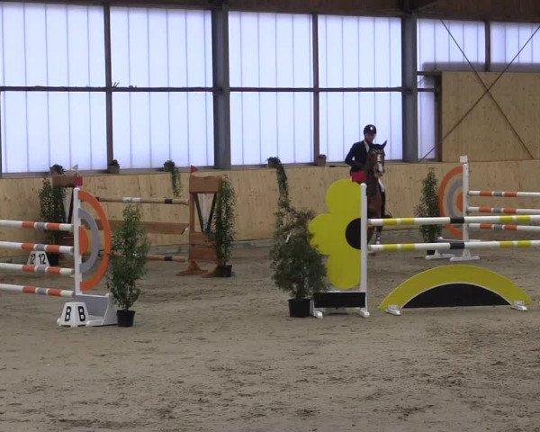 FEI Reitturnier Damme-Neuenwalde (GER) 2020