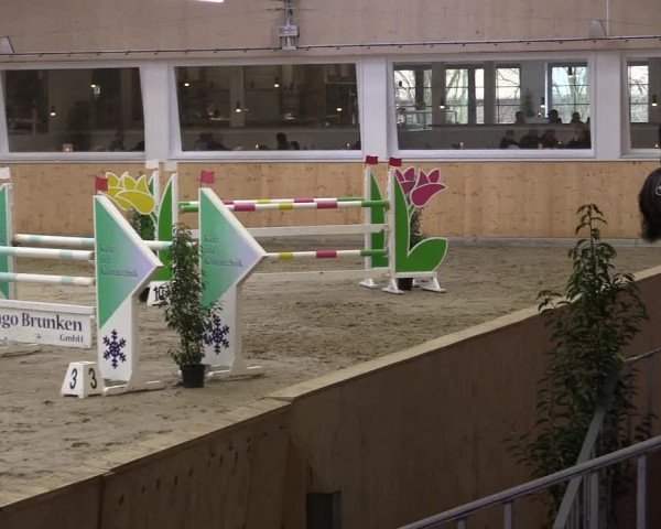 FEI Reitturnier Damme-Neuenwalde (GER) 2020