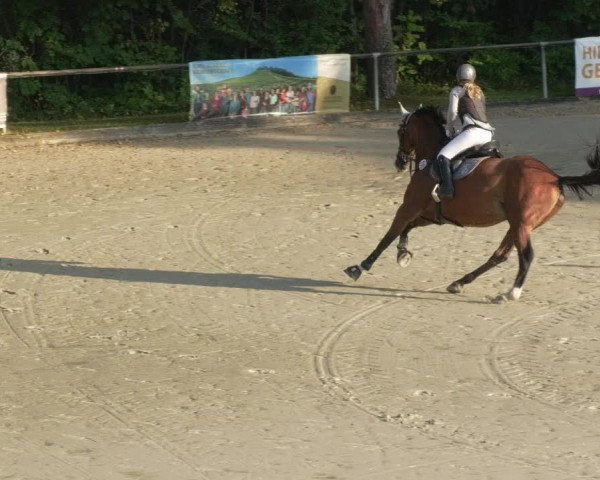 Reitturnier Leingarten 2021