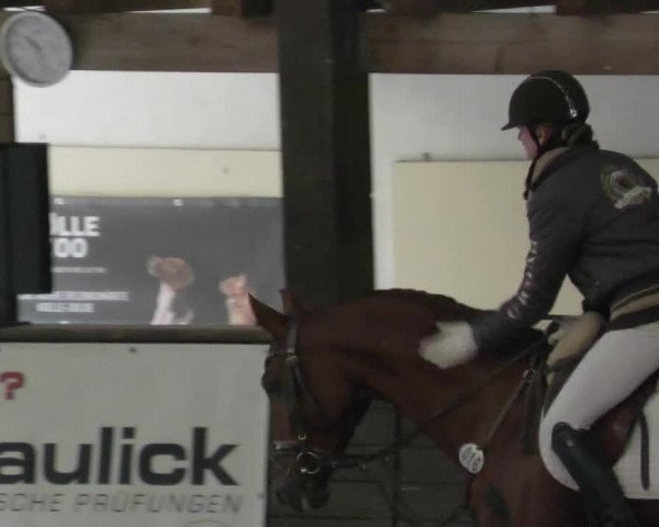 Reitturnier Heilbronn 2021
