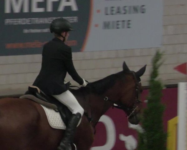 Reitturnier Heilbronn 2021