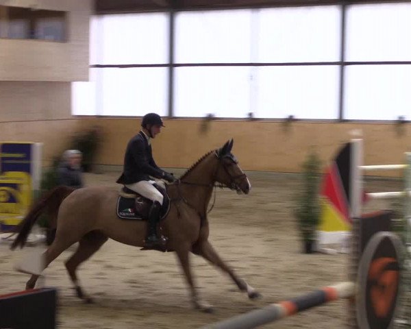 FEI Reitturnier Damme-Neuenwalde (GER) 2020