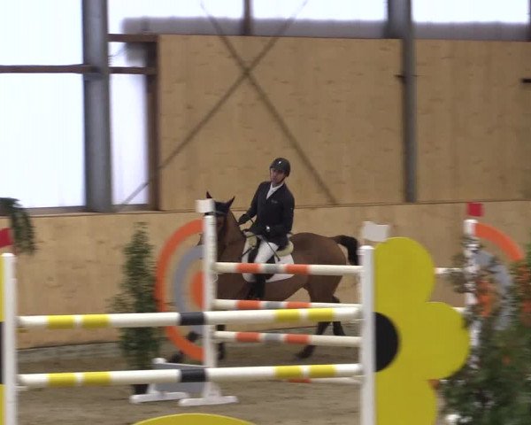 FEI Reitturnier Damme-Neuenwalde (GER) 2020