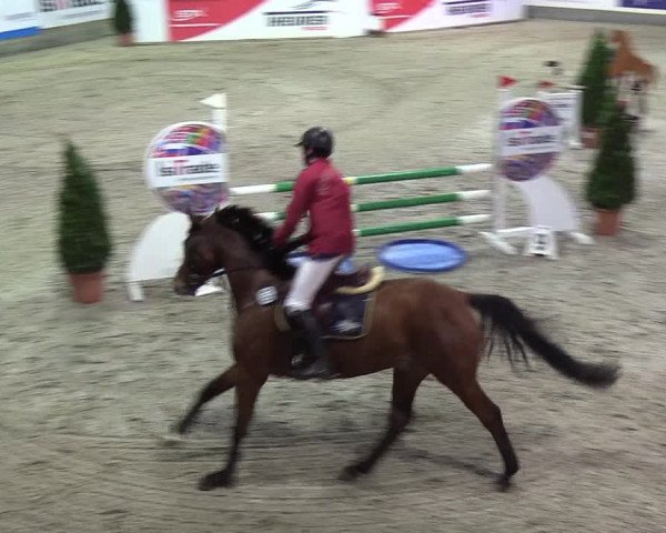 Nordic Jumping events 2020