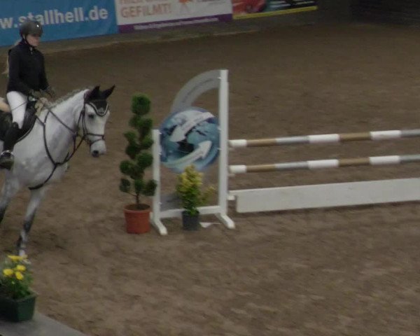 Reitturnier Heilbronn 2021