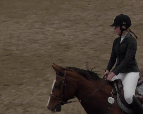 Reitturnier Heilbronn 2021