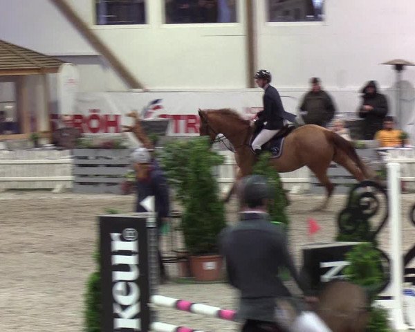Nordic Jumping events 2020