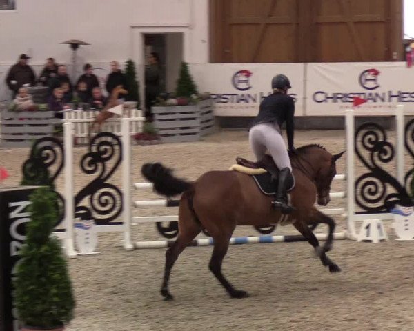 Nordic Jumping events 2020