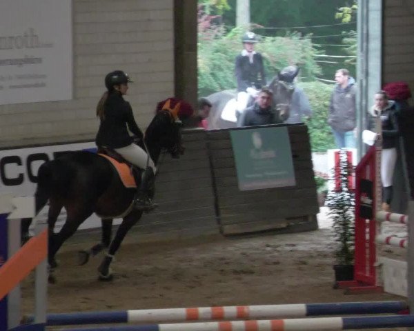 Reitturnier Heilbronn 2021