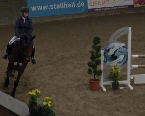 Reitturnier Heilbronn 2021